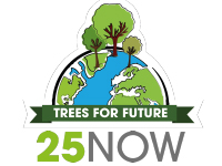 25NOW - Trees for Future